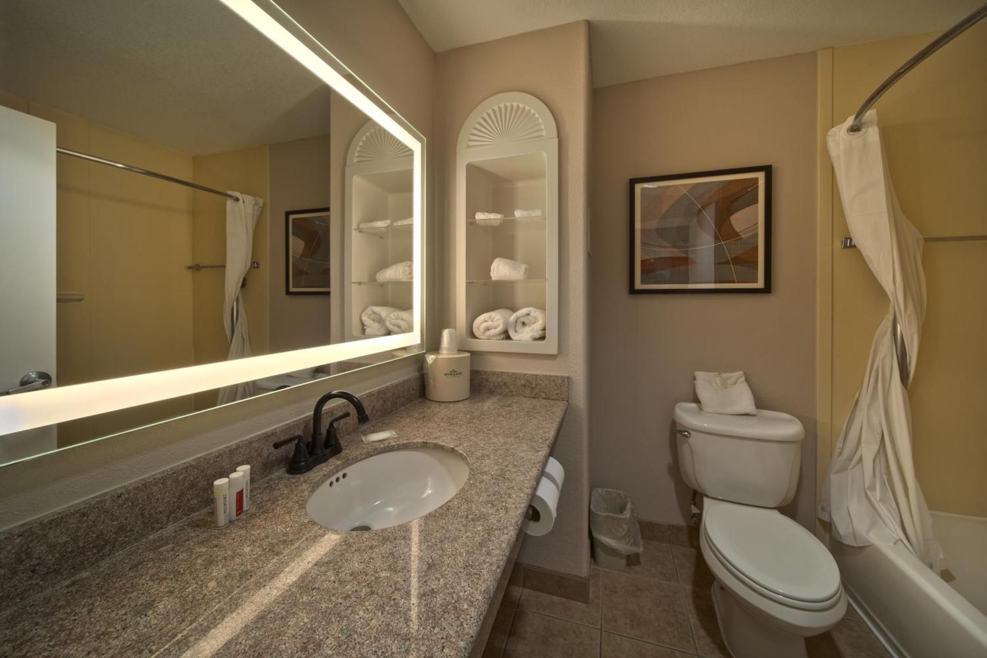 undefined Wingate by Wyndham Houston Bush Intercontinental Airport 6