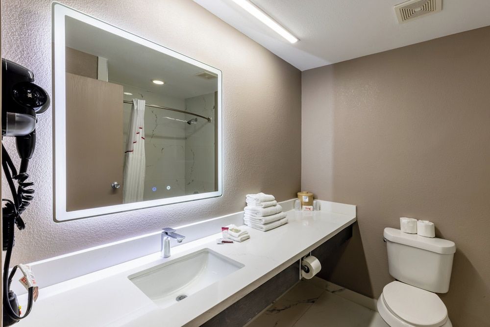 Red Roof Inn Pharr - McAllen Deluxe Room, 1 King Bed, Non Smoking 6