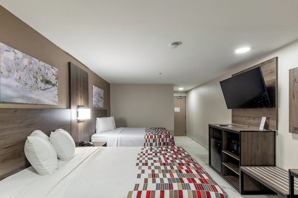 Red Roof Inn Pharr - McAllen Deluxe Room, 2 Queen Beds, Non Smoking 3