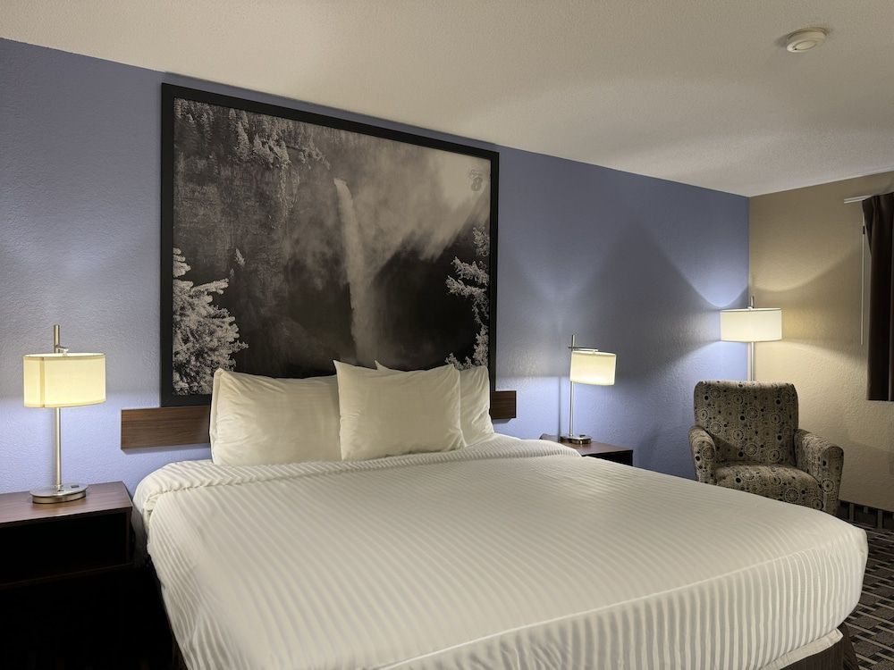 Room, 1 King Bed, Non Smoking