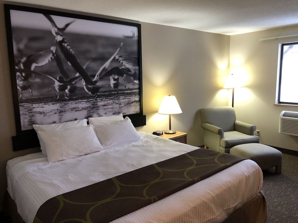 Room, 1 King Bed