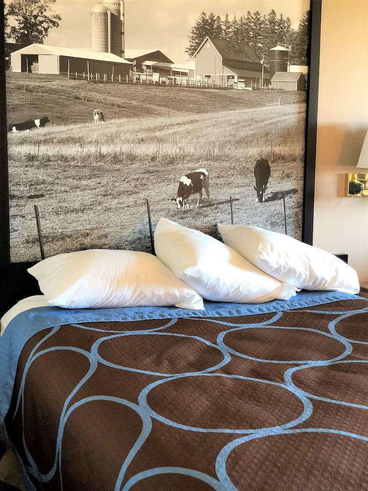 Room, 1 Queen Bed, Accessible, Non Smoking (First Floor Mobility Accessible)