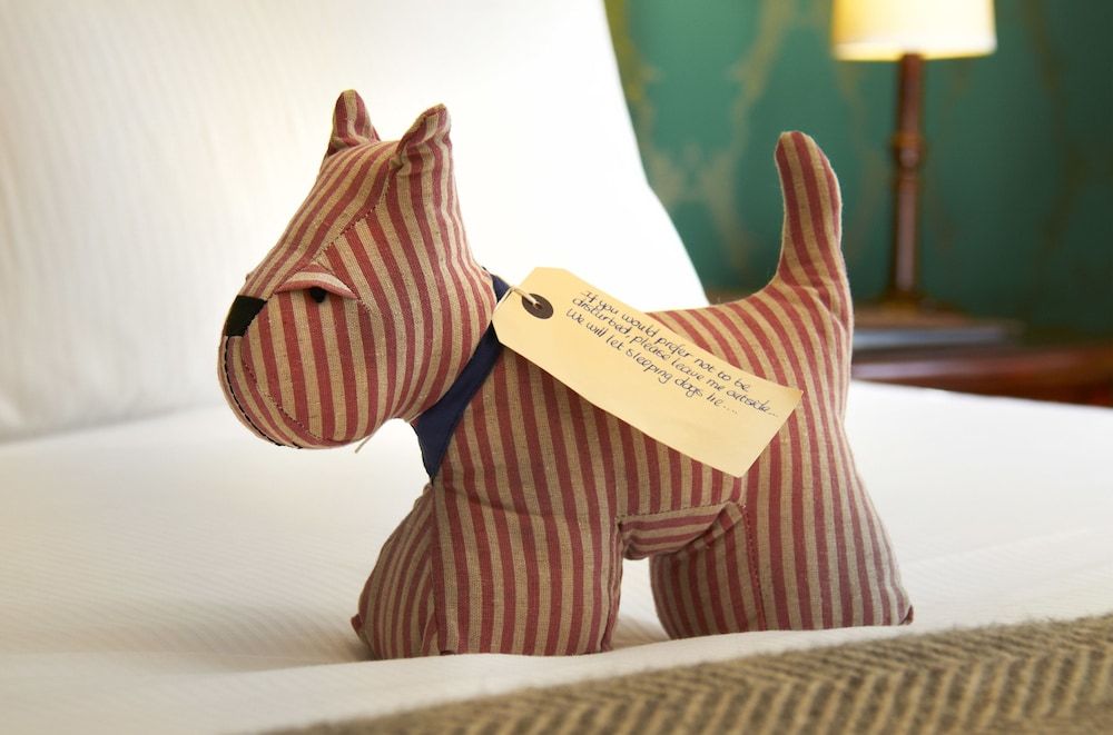 The Dundas Arms Classic Double Room (Small) 2