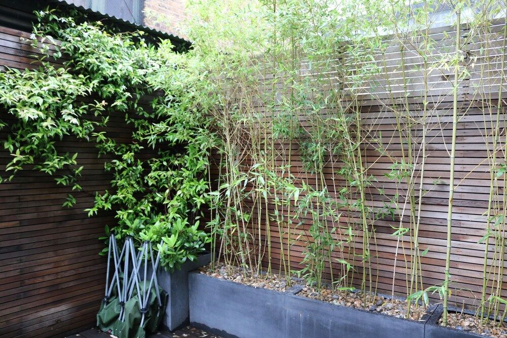 undefined Wentworth Apartments 2