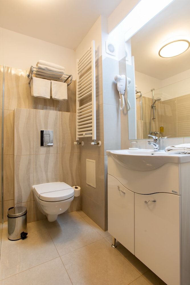 Hotel Duke Armeneasca Standard Double Room 6