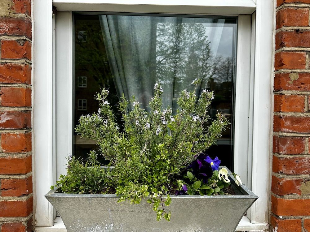 undefined Comfortable Apartment in Central London