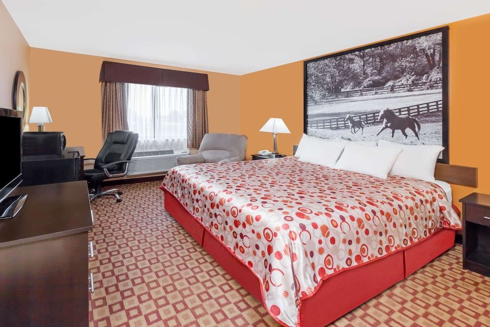 Room, 1 King Bed, Accessible, Non Smoking