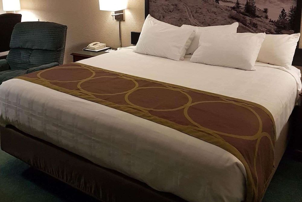 Standard Room, 1 King Bed, Refrigerator & Microwave