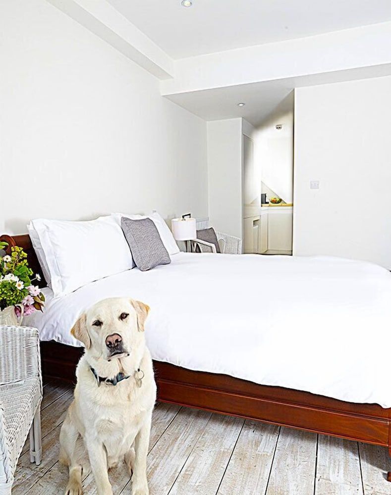 Live and Let Live Inn Double Room (Room2) 3