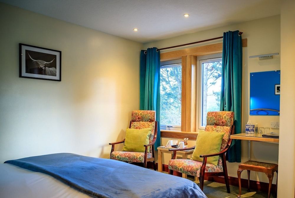 Double Room, Accessible, Ensuite (Pine Marten)