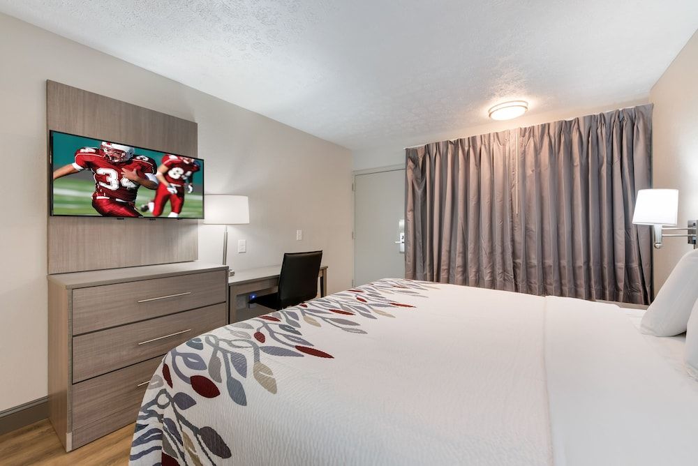 Standard Room, 1 King Bed, Accessible (Roll-In Shower/Smoke Free)