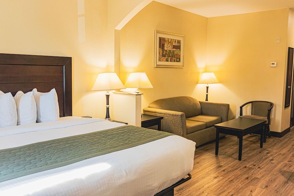 Room, 1 King Bed with Sofa bed, Non Smoking