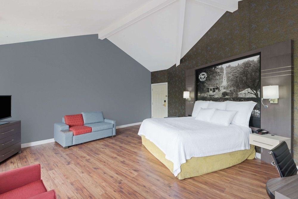 Deluxe Studio Suite, 1 King Bed, Non Smoking, Lake View