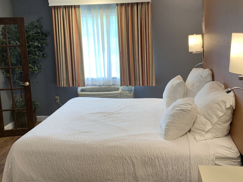 Deluxe Studio Suite, 1 King Bed, Non Smoking, Lake View