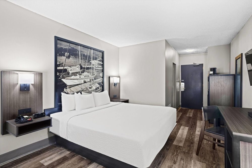Room, 1 King Bed, Non Smoking (Pet Friendly)