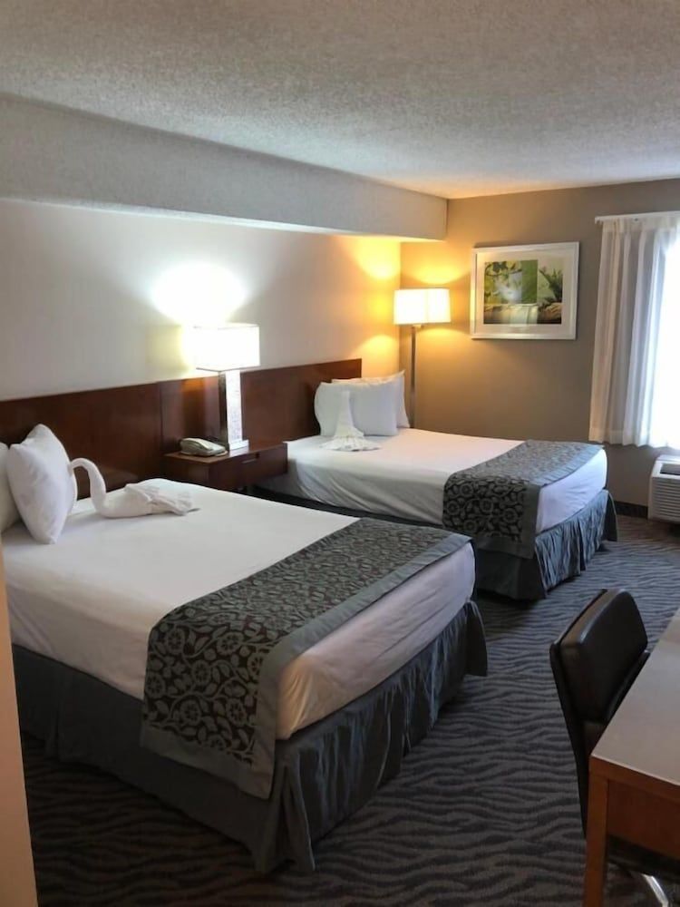Premium Room, 2 Double Beds