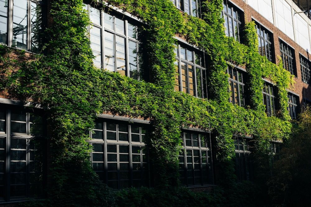 undefined Stamba Hotel 6