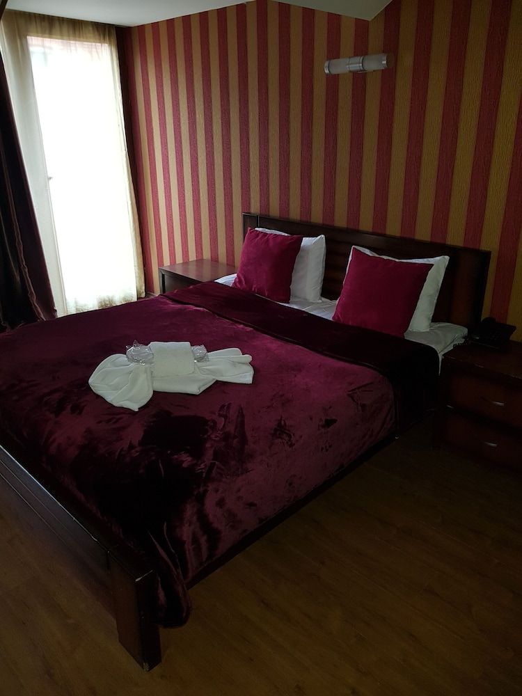 Hotel Danisimo Classic Double Room Single Use, 1 King Bed 2