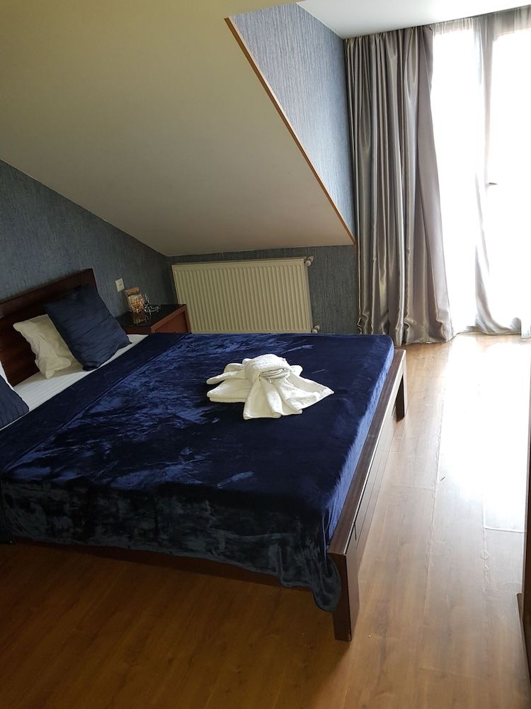 Hotel Danisimo Classic Double Room Single Use, 1 King Bed 3