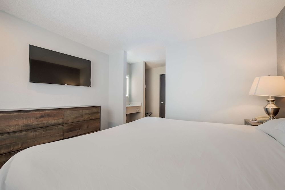 Suite, 1 King Bed