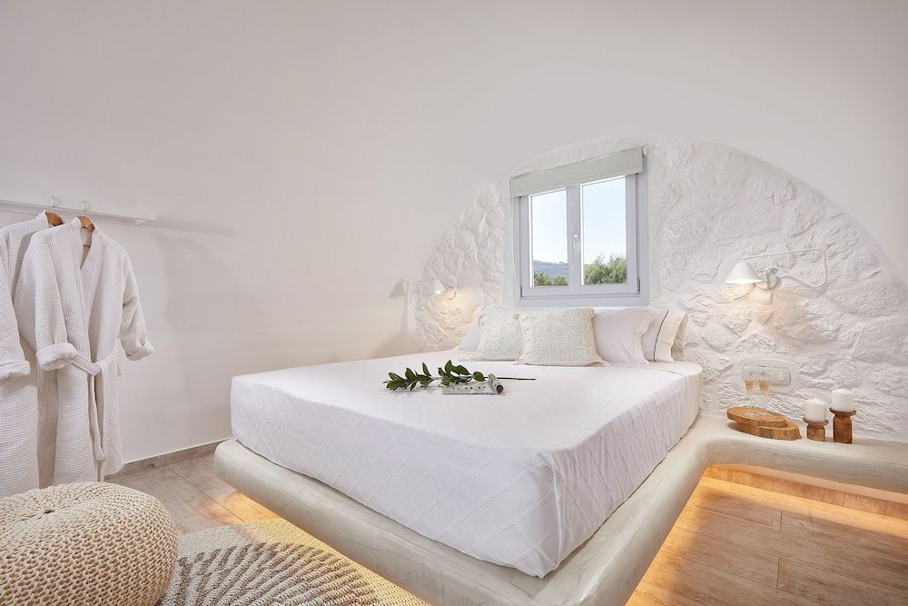 undefined Petri Suites 4