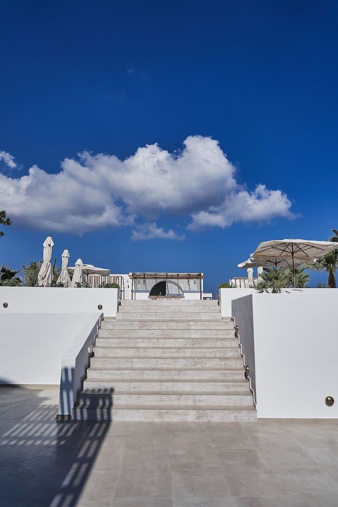 undefined Petri Suites 6