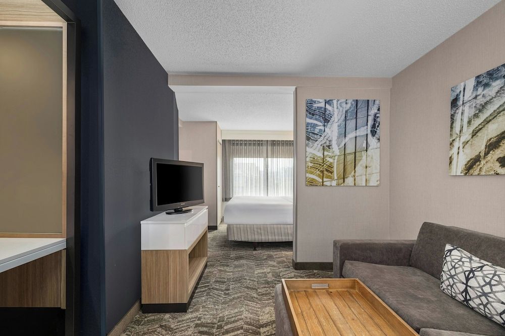 Suite, 1 King Bed with Sofa bed, Non Smoking (Mobility/Hearing Access, Roll-in Shwr)