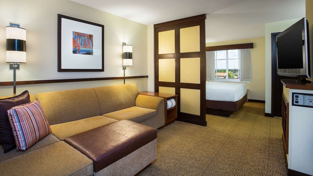Room, 1 King Bed with Sofa bed