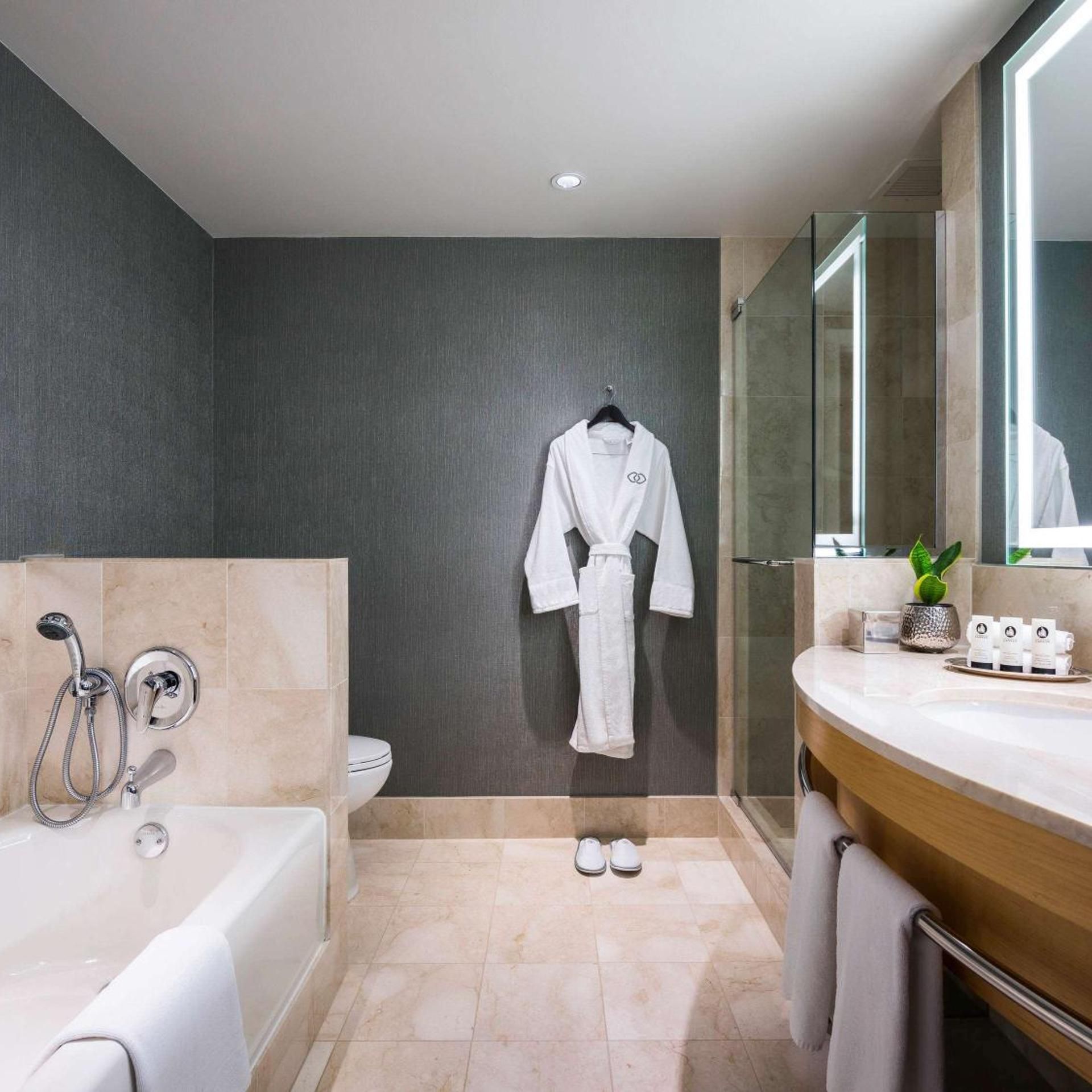 undefined Sofitel Chicago Magnificent Mile 8