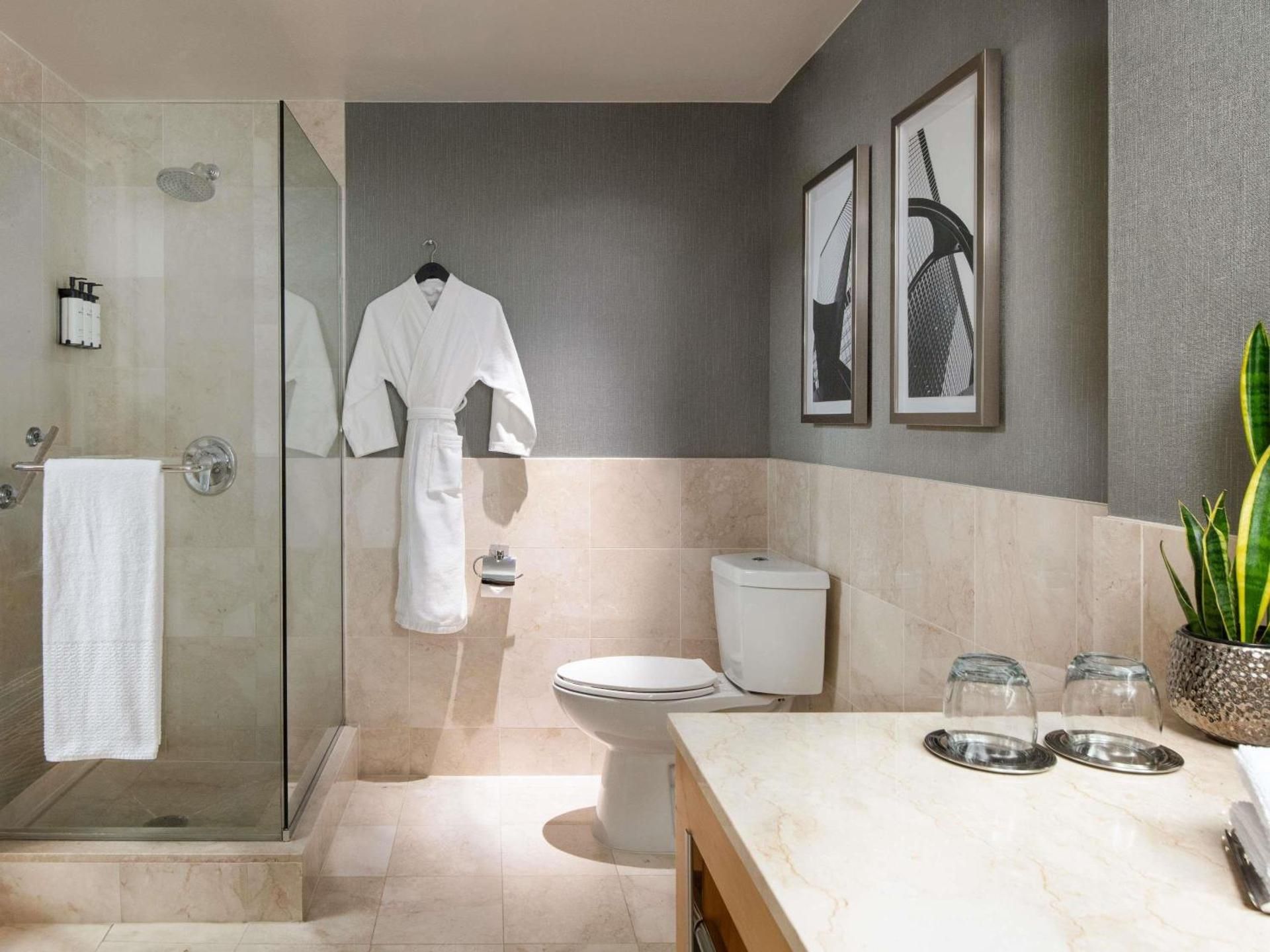 undefined Sofitel Chicago Magnificent Mile 5