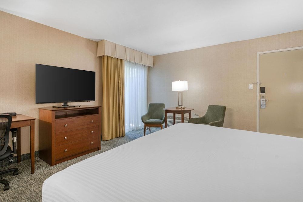 Standard Room, 1 King Bed, Non Smoking