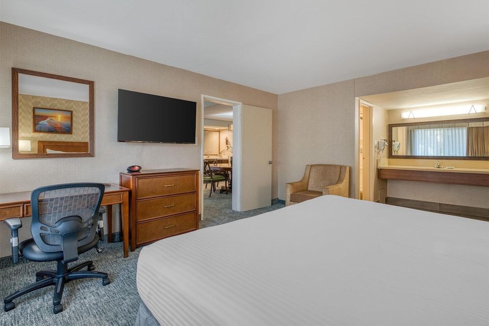 Suite, 1 King Bed, Non Smoking, Refrigerator & Microwave (with Sofabed)