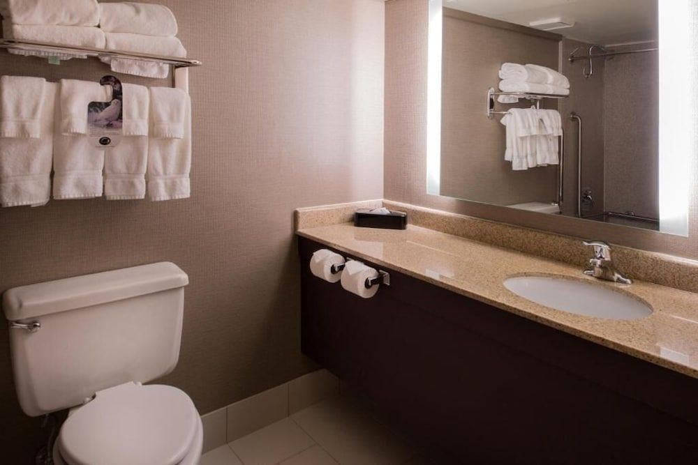 Classic Room (One Queen Roll in Shower Access)