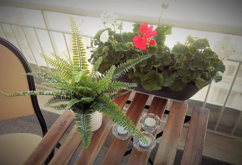 Tiepolo Galleria Palatina Deluxe Apartment, Kitchen, City View 17