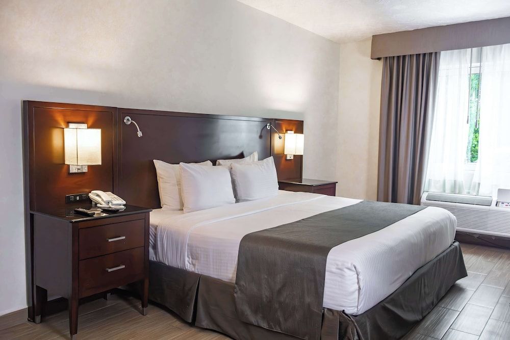 Best Western Plus Monterrey Colon Standard Room, 1 King Bed, Accessible, Non Smoking 3