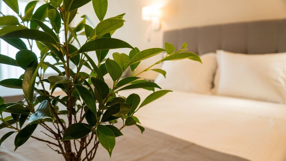 Grand Suite