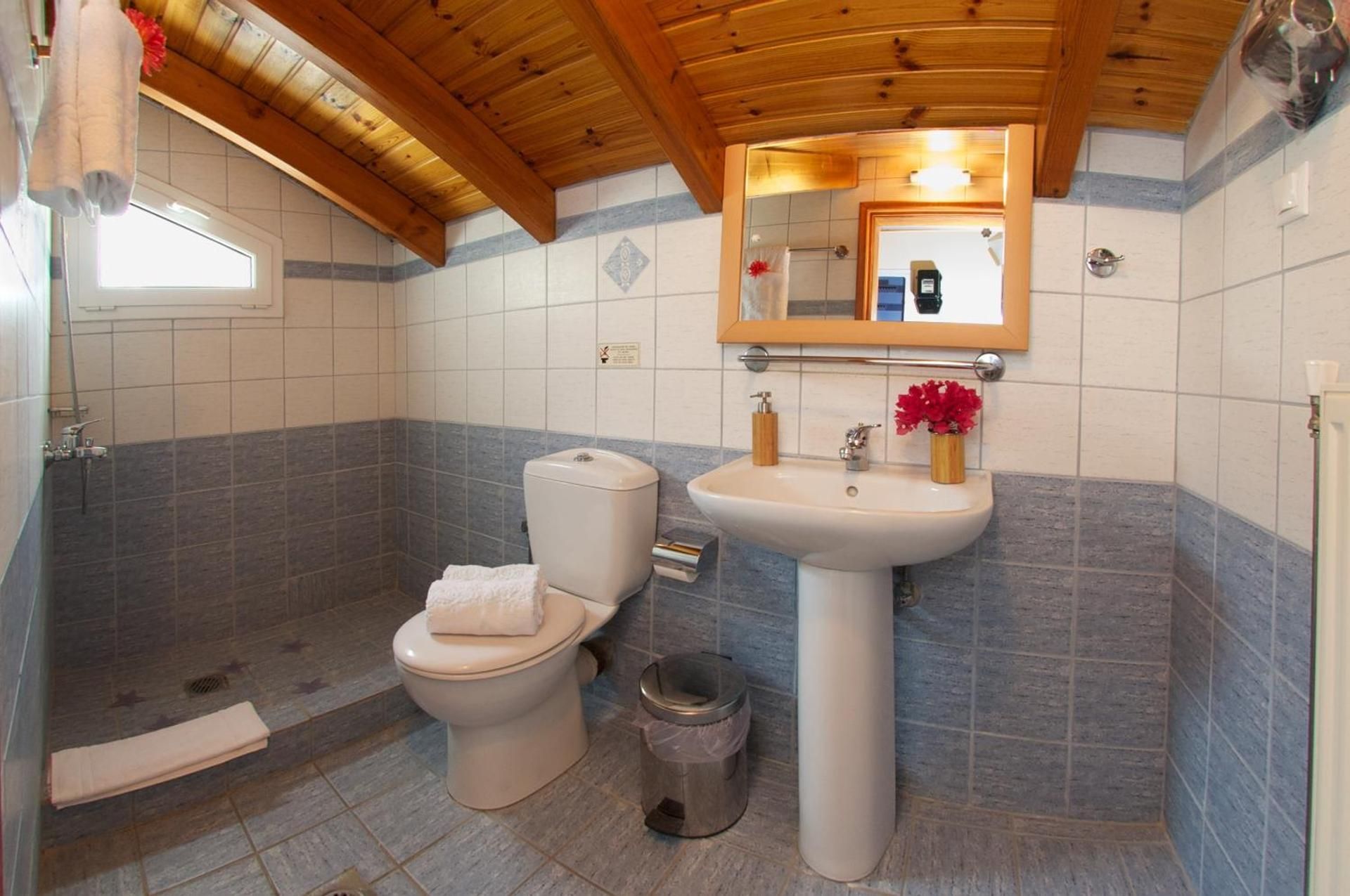 Two-Bedroom Apartment - Attic