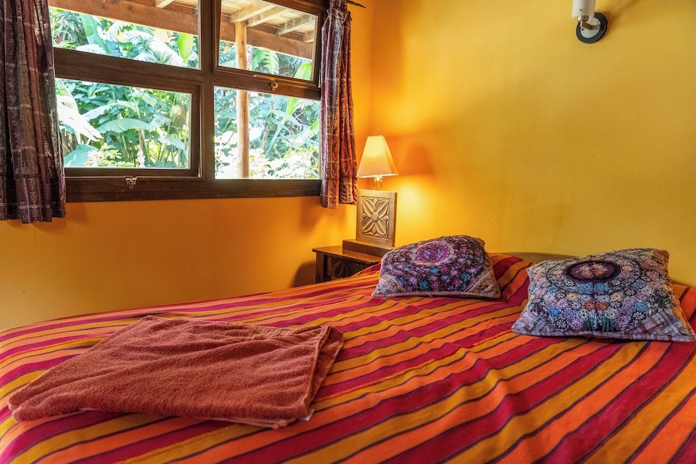 La Iguana Perdida - Hostel Deluxe Triple Room, Multiple Beds, Patio 8