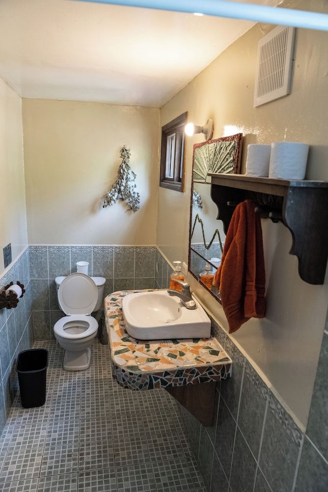 La Iguana Perdida - Hostel Deluxe Triple Room, Multiple Beds, Patio 11