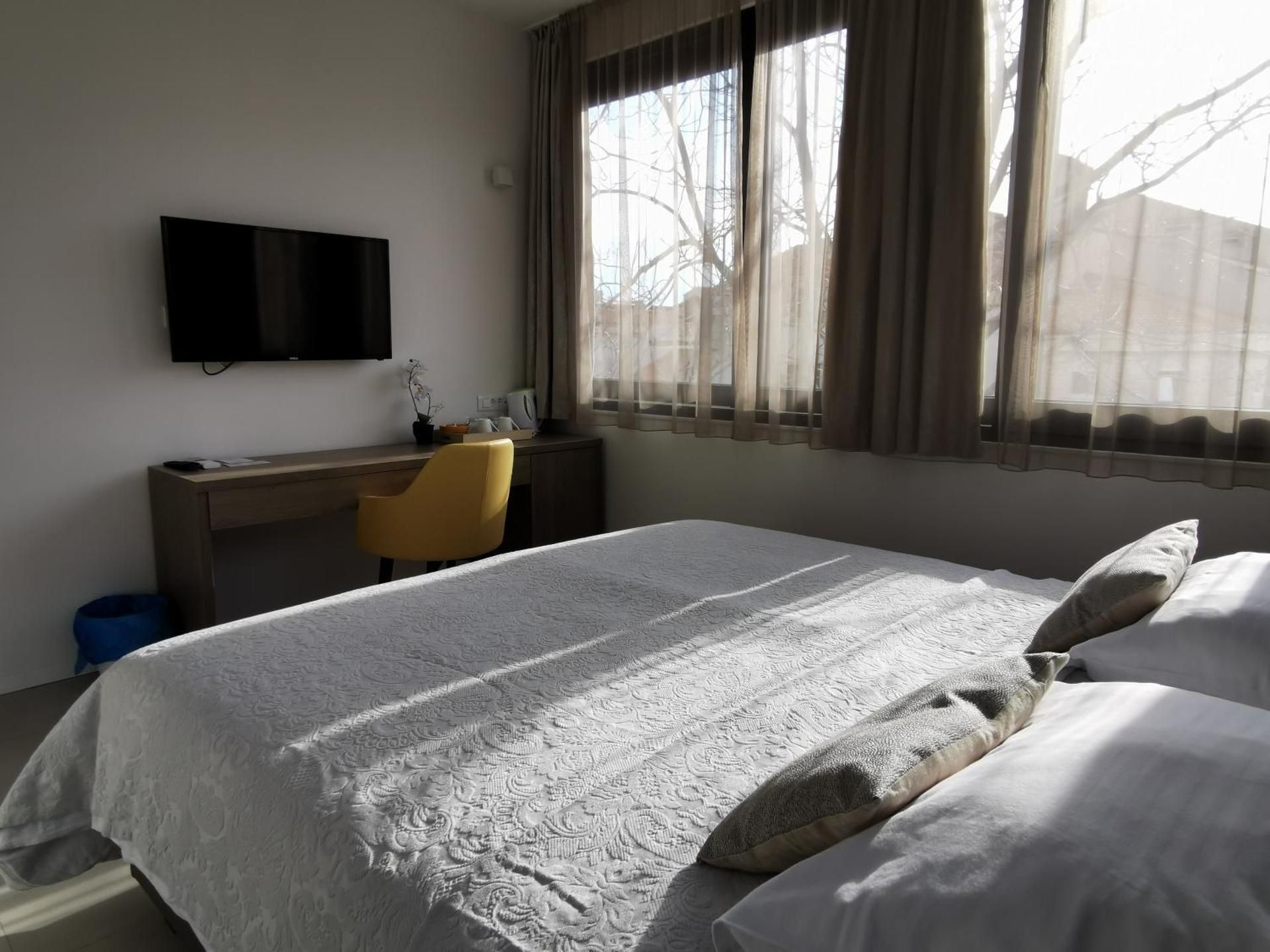 King Room with Garden View