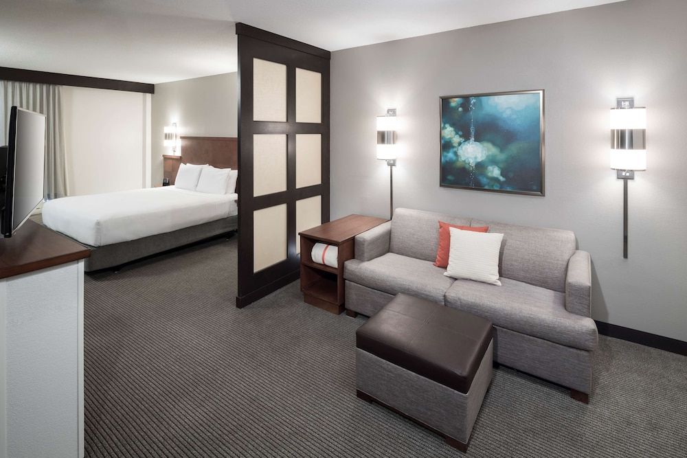 Room, 1 King Bed, Accessible (Roll-in Shower, Sofabed)