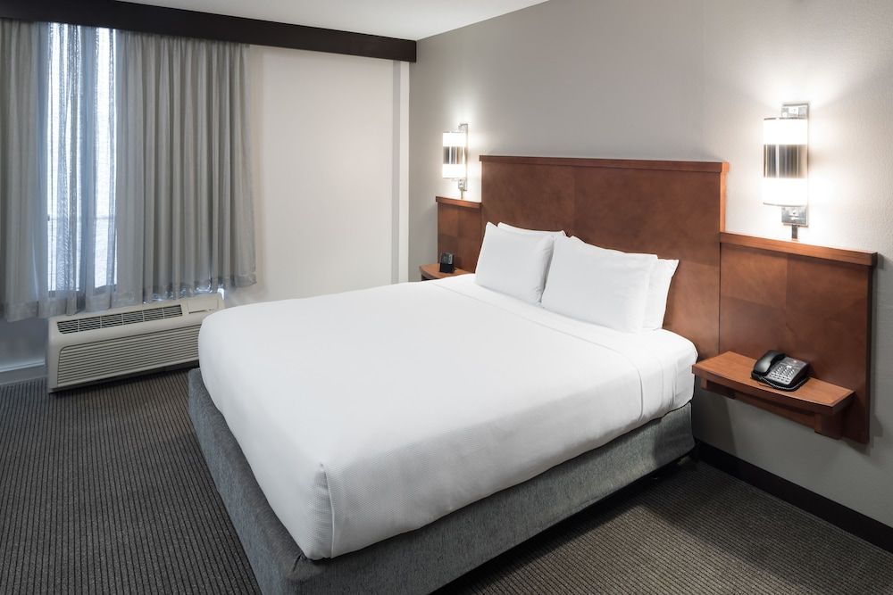 Room, 1 King Bed, Accessible (Roll-in Shower, Sofabed)