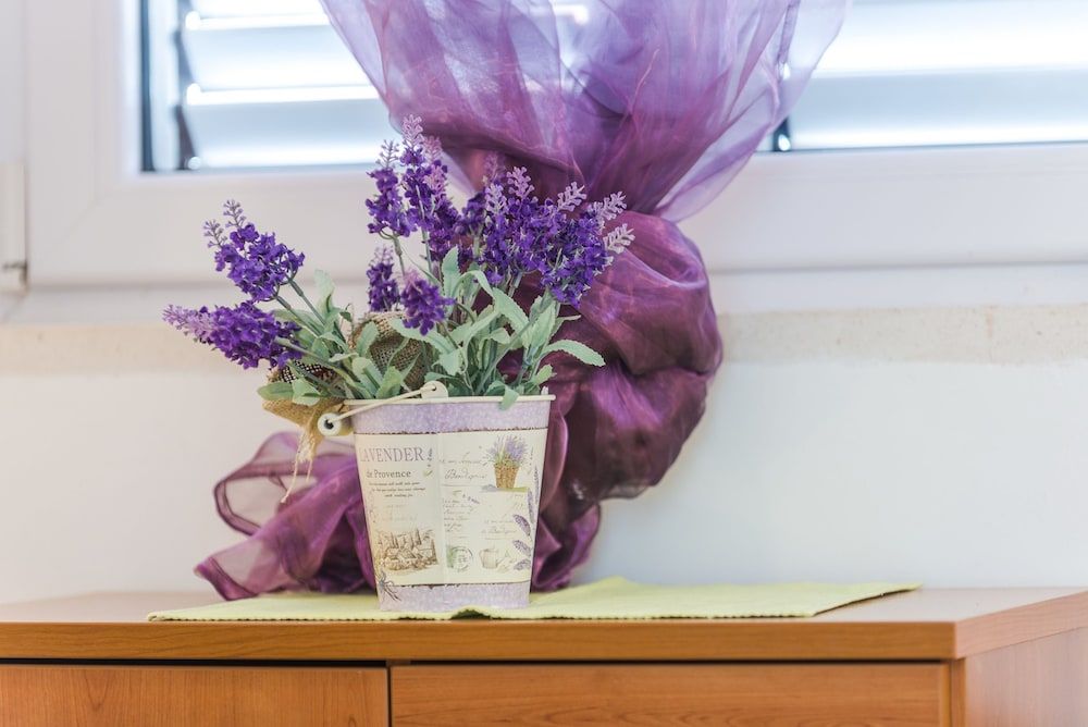 undefined Kate´s Place 10