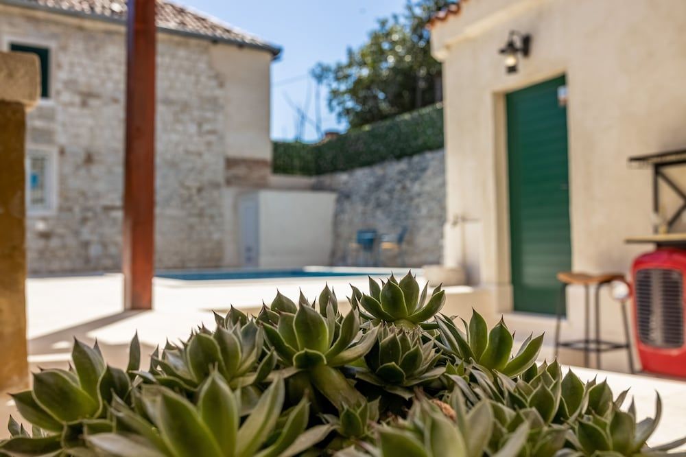 undefined Hotel Agava 5