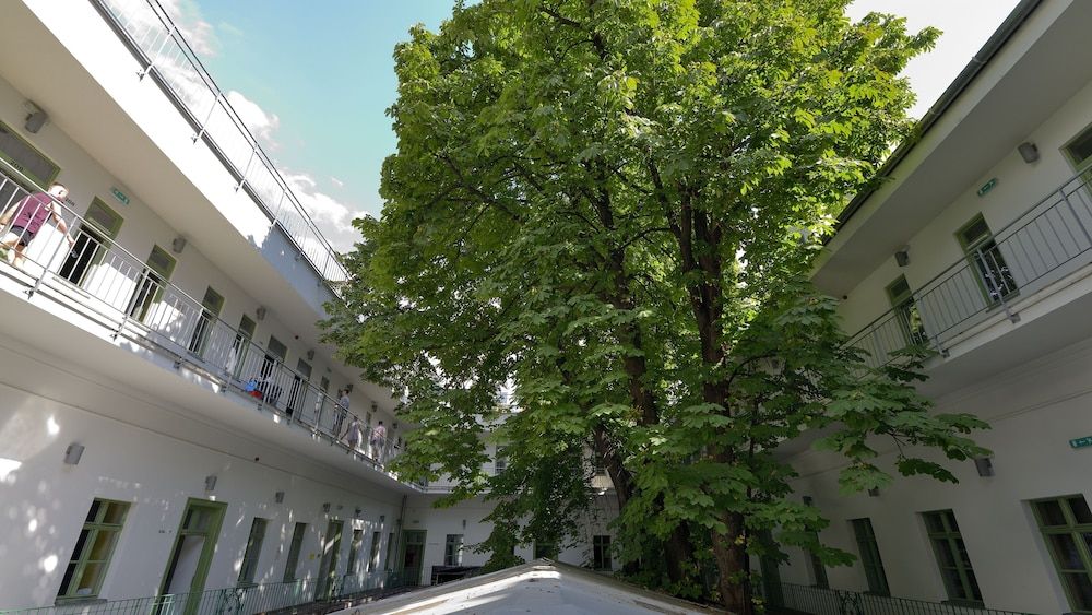 undefined The Hive Party Hostel 2