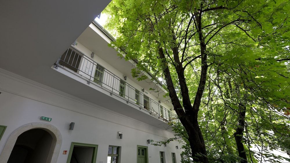 undefined The Hive Party Hostel 3