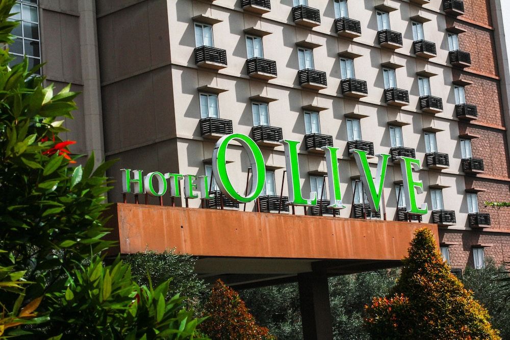 undefined Hotel Olive 5