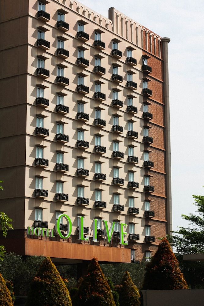 undefined Hotel Olive 4