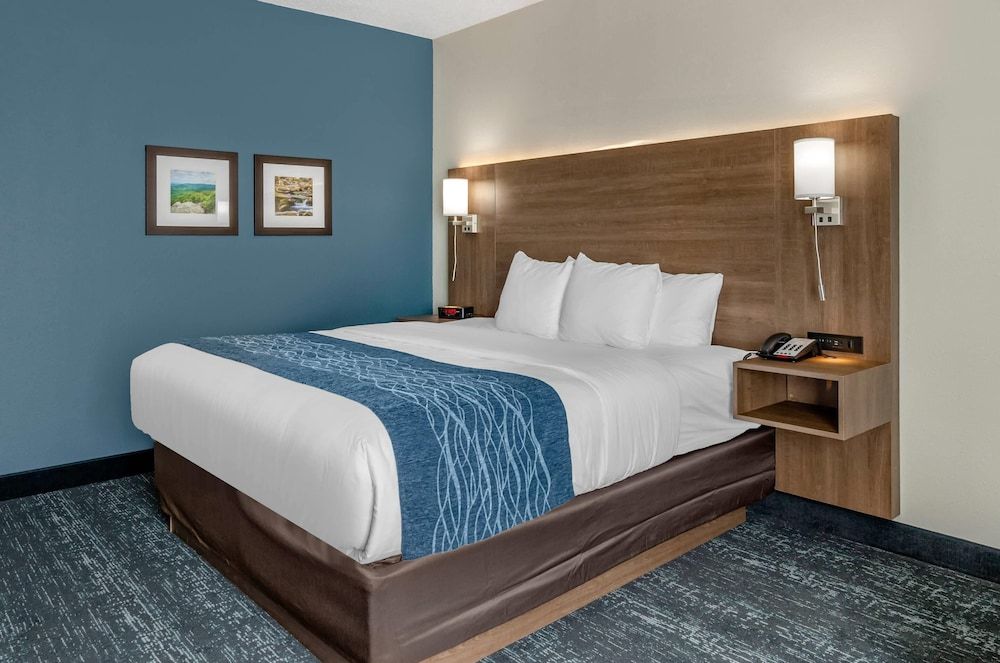 Standard Room, 1 King Bed, Non Smoking