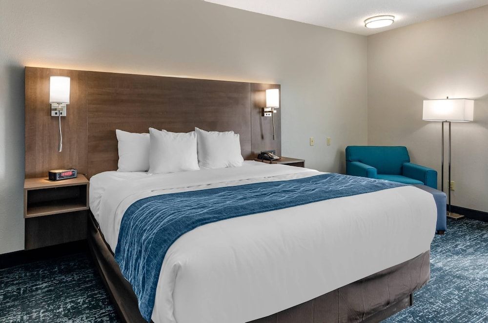 Room, 1 King Bed, Non Smoking